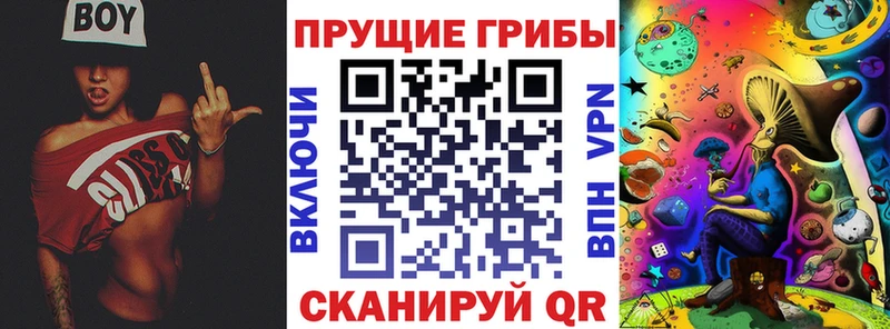Купить закладки  Томари  Псилоцибиновые грибы Psilocybine cubensis 